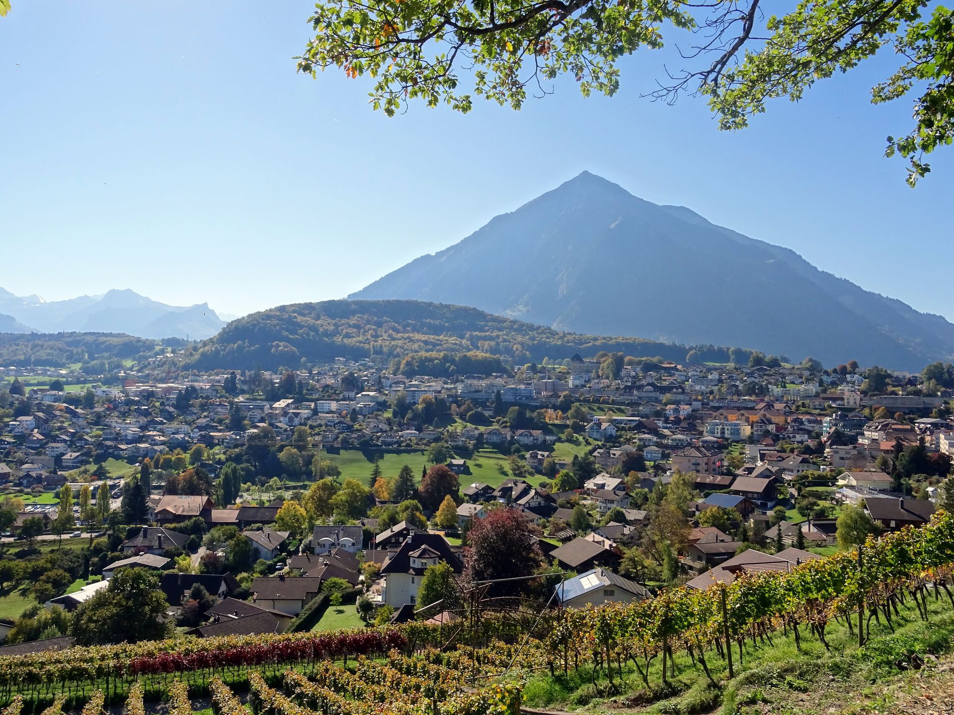 Spiez